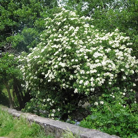 Alhondiga Apartment *