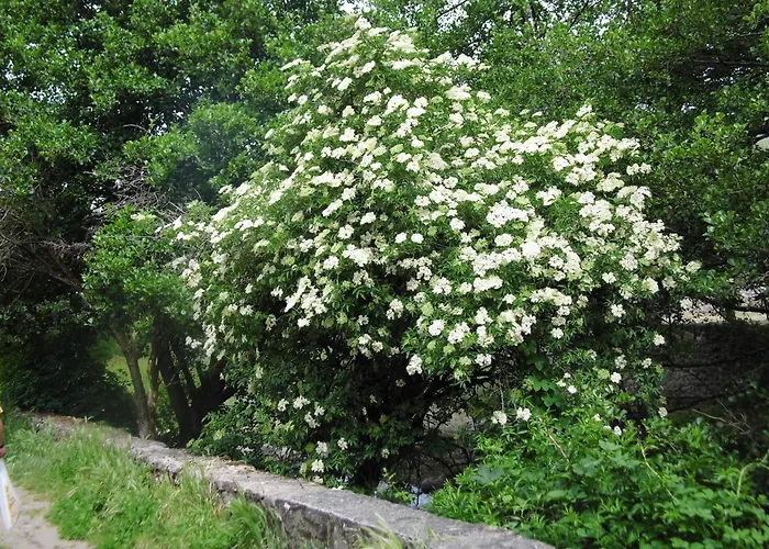 Alhondiga アパート *