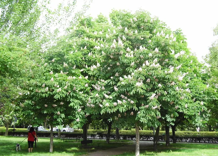 Alhondiga Хервас